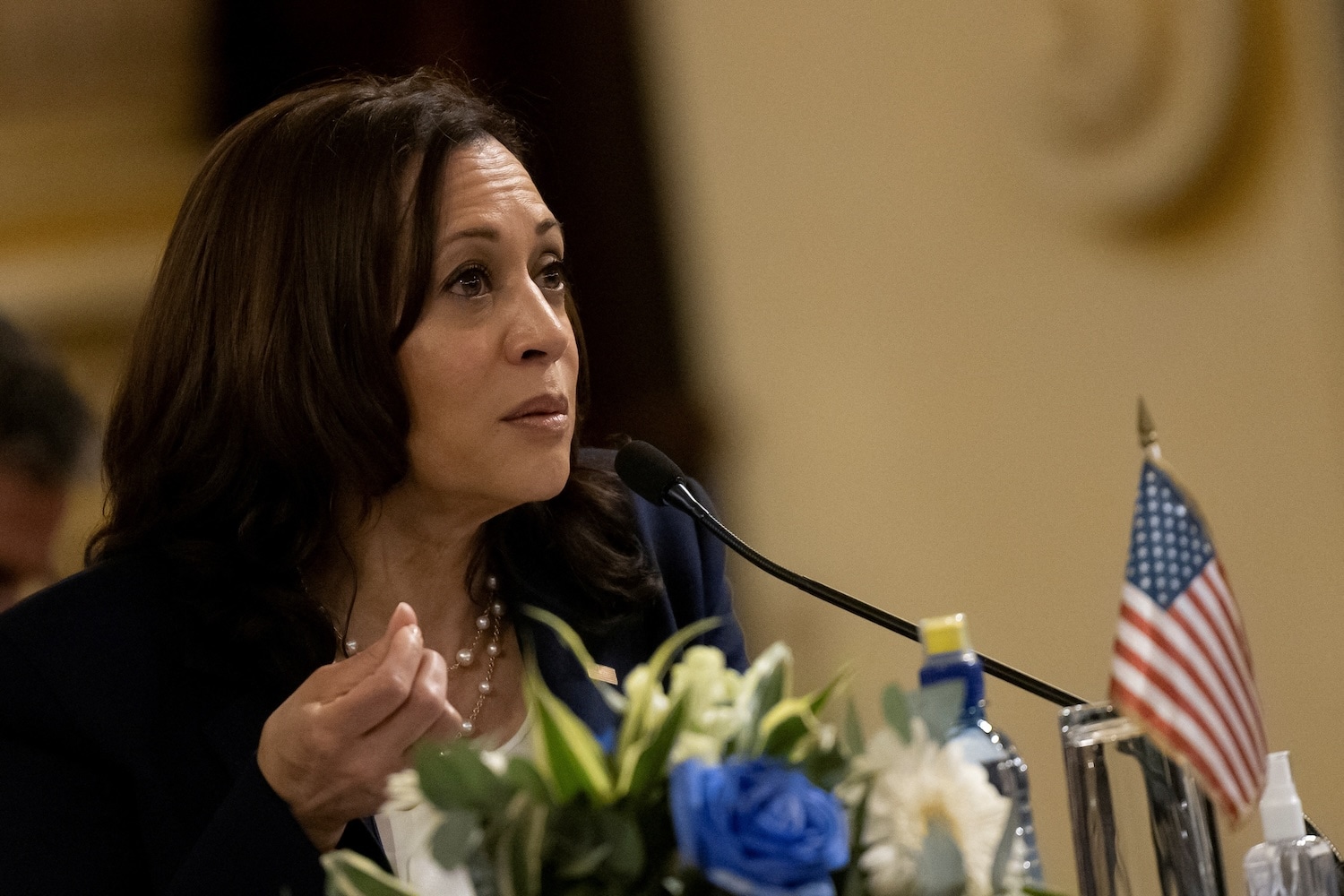 Kamala Harris Says She Won't Give Up Pushing For End To Israel-Gaza War ...