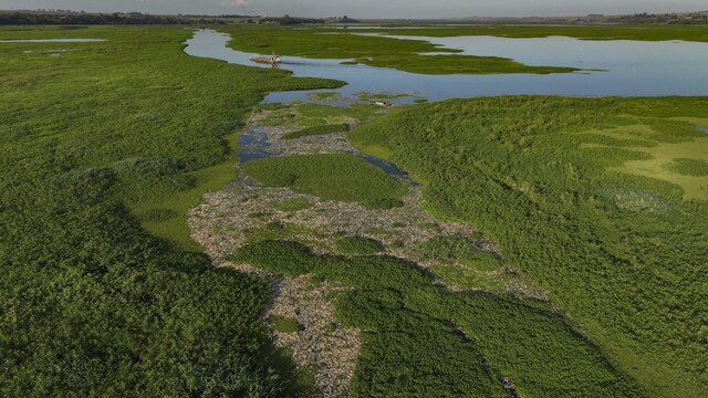 Brazil's Piracicaba River turns into a carpet of floating dead fish ...