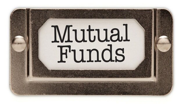 Canara Robeco Bluechip Equity Fund | The fund posted 16.88% returns in its regular plan and 18.27% returns in its direct plan in the last one year, defeating 12.79% of the BSE 100 total return index.