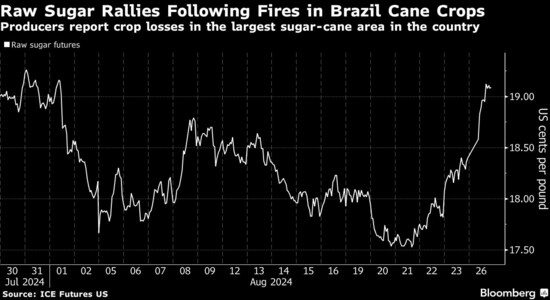 As much as 5 million metric tons of sugar cane could have been lost in Sao Paulo due to fire, according to two preliminary estimates from Green Pool Commodity Specialists and financial services firm FG/A based on satellite images that could be imprecise, Bloomberg reported on Aug 26. Earlier estimates in June projected a record sugar output of 46.29 million tonne from Brazil this year, leading to a crash in global price of sugar. However, that has now turned on its head with the latest wildfires in Brazil. Raw sugar futures climbed as much as 4.2% in New York on Monday, the biggest intraday jump in a month, according to Bloomberg.