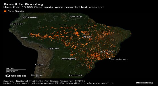 Over 60,000 hectares of Brazil's largest sugar producing region in Sao Paulo have been affected by wildfires of an unprecedented scale. “In 20 years in the business, I had never seen anything like it,” said Almir Torcato, executive director at cane growers association Canoeste, which represents over 2,000 farmers. Raw sugar futures climbed as much as 4.2% in New York on Monday, the biggest intraday jump in a month, according to Bloomberg. 