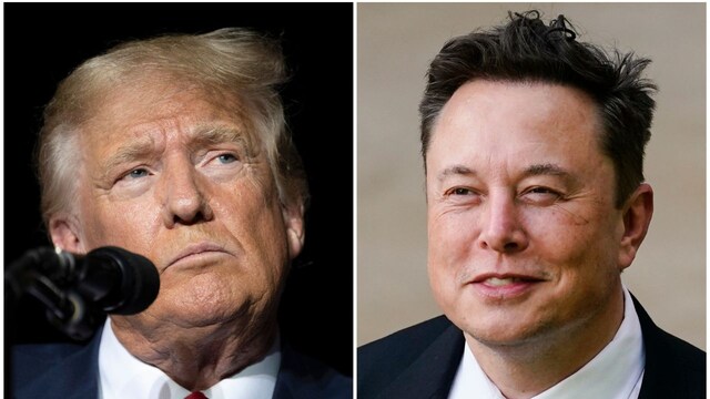 Donald Trump says he’ll buy a Tesla to support Elon Musk after shares ...