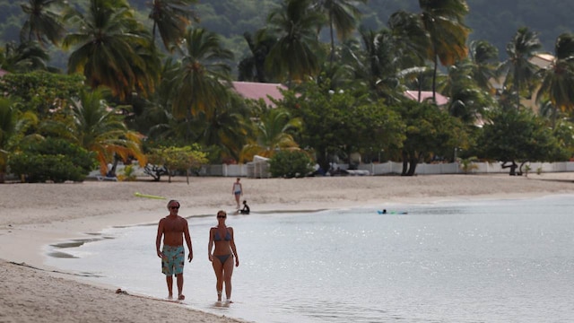 No 7. Grenada | Often referred to as the "Spice Island," Grenada is renowned for its nutmeg plantations and picturesque landscapes. The island's stunning beaches and lush rainforests provide a perfect setting for a relaxing vacation. (Image: Reuters)