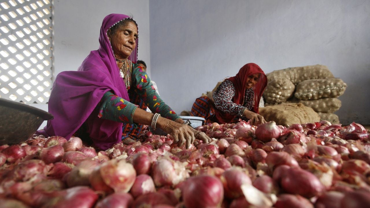 Ahead of Diwali, Kanda Express brings 840 MT of onions to Delhi to ease retail prices