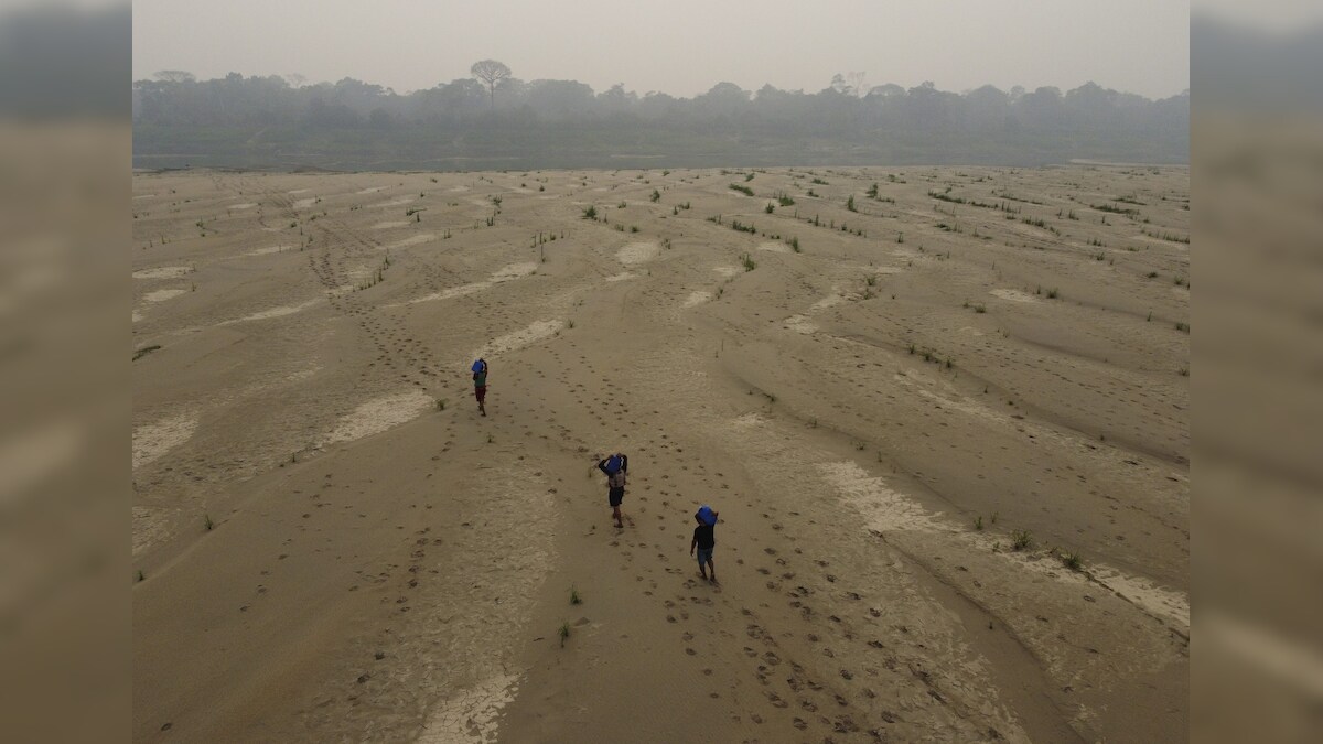Drought has dried major Amazon river tributary to its lowest level in ...