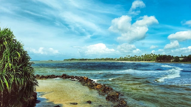 Coconut Tree Hill (image:shutterstock)