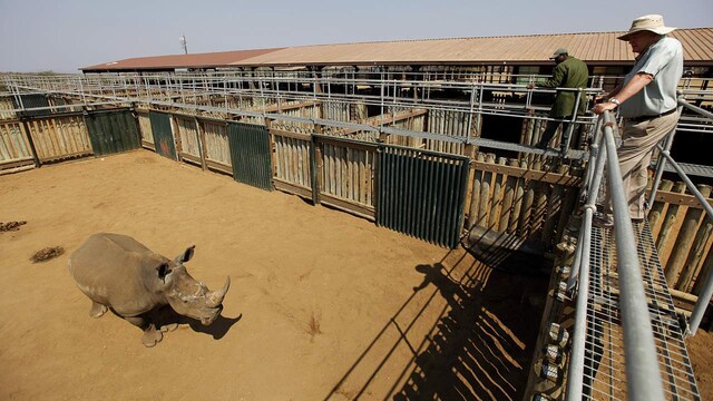 2. Hluhluwe-iMfolozi Park, South Africa | Situated in KwaZulu-Natal, Hluhluwe-iMfolozi Park is one of Africa’s oldest game reserves, famous for its successful white rhino revival. Visitors can spot both black and white rhinos in a scenic landscape of rolling hills and lush vegetation. With options ranging from day trips to extended safaris, Hluhluwe-iMfolozi offers a captivating exploration of its rich terrains.