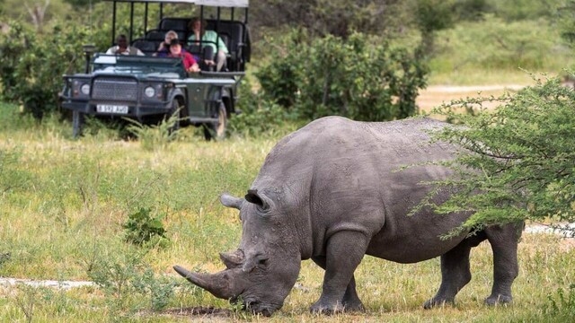 4. Moremi Game Reserve, Botswana | Located in the Okavango Delta, Moremi Game Reserve is a prime spot for rhino sightings. This UNESCO World Heritage Site, with its diverse mix of wetlands and dry areas, is home to both white and black rhinos. Conservation efforts have successfully reintroduced rhinos to this region, making Moremi a crucial area for their preservation. The reserve offers various safari options for nature enthusiasts and photographers.