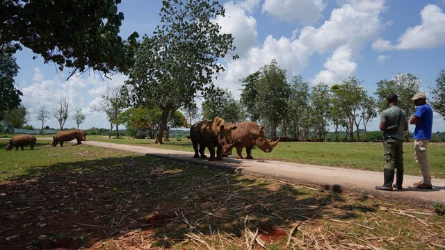 To celebrate World Rhino Day Rajeev Kale, President and Country Head of Holidays, MICE, Visa - Thomas Cook (India) Limited, and S D Nandakumar, President and Country Head, Leisure Travel and MICE, SOTC Travel Limited, have shared a list of seven must-visit safaris from around the world. A trip to one of these jungles will encourage you to support protection of rhinos. (Image: Reuters)