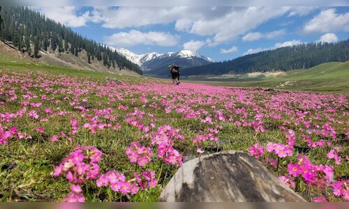 J&K Reopens Tourist Spots After Pahalgam Attack