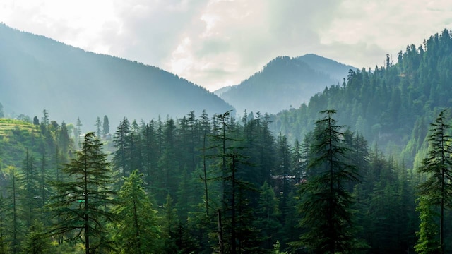 No 9. Tirthan Valley | It is one of Himachal's best-kept secrets, which is far from the usual touristy places. You can spend your days trout fishing, trekking through the Great Himalayan National Park, or simply sitting by the river with a cup of coffee. Wooden cottages are its USP.(Image: Shutterstock) No 9. Tirthan Valley | It is one of Himachal's best-kept secrets, which is far from the usual touristy places. You can spend your days trout fishing, trekking through the Great Himalayan National Park, or simply sitting by the river with a cup of coffee. Wooden cottages are its USP.(Image: Shutterstock)
