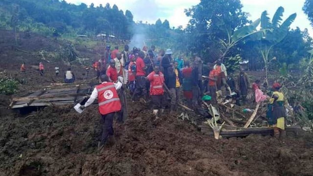 Search and rescue operations are underway with the Uganda Red Cross after the district was hit with a landslide following torrential rains on November 28, 2024. (AP Photo) Search and rescue operations are underway with the Uganda Red Cross after the district was hit with a landslide following torrential rains on November 28, 2024. (AP Photo)