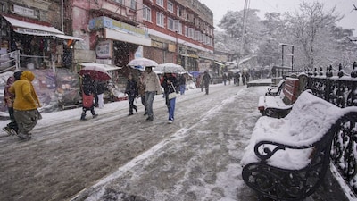 Tourists take a stroll after fresh snowfall, in Shimla, Monday, Dec. 23, 2024. (PTI Photo) 