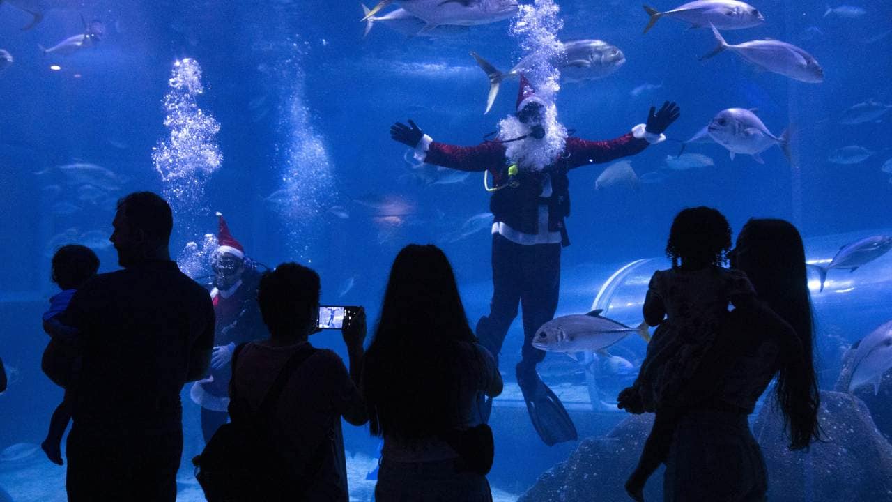 Santa Claus has some fun with sharks at Rio de Janeiro aquarium