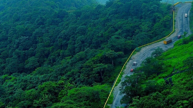 Wayanad./Image Keralatourism.com Wayanad./Image Keralatourism.com