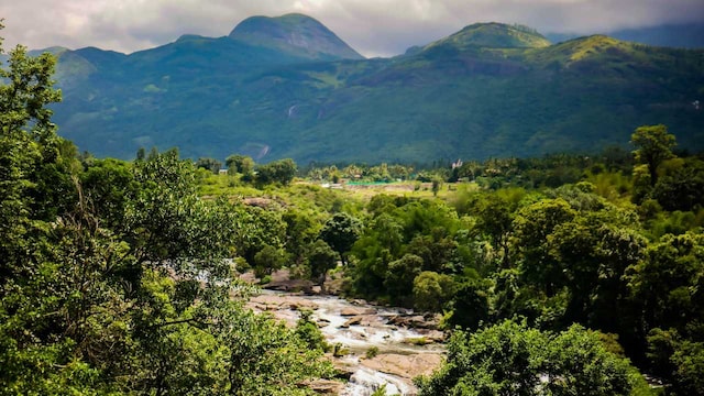 Bengaluru boasts delightful weather throughout the year, making it a favored destination for visitors, whether for leisure or business. As temperatures rise during the summer, a short rain shower refreshes the city, restoring comfort by evening. However, with the onset of the monsoon season, rainfall can occasionally cause flooding in certain areas. For those eager to embrace the rain this year, the CNBC-TV18 Travel Desk has curated a list of 10 must-visit destinations close to India's IT hub that promise an unforgettable getaway. Read on to discover these locations. (Image: Shutterstock) Bengaluru boasts delightful weather throughout the year, making it a favored destination for visitors, whether for leisure or business. As temperatures rise during the summer, a short rain shower refreshes the city, restoring comfort by evening. However, with the onset of the monsoon season, rainfall can occasionally cause flooding in certain areas. For those eager to embrace the rain this year, the CNBC-TV18 Travel Desk has curated a list of 10 must-visit destinations close to India's IT hub that promise an unforgettable getaway. Read on to discover these locations. (Image: Shutterstock)