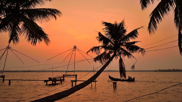 No 8. Kumbalangi: Known for its backwater and rural tourism activities, Kumbalangi is a quiet, leafy island village in the Ernakulam district. The destination is perfect for those seeking a relaxing getaway and a glimpse into traditional Kerala life. The electric blue luminescence in Kumbalangi draws a lot of tourists from all parts of the world. The blue luminescence occurs especially during the summers when the water turns salty. (Image: Shutterstock) No 8. Kumbalangi: Known for its backwater and rural tourism activities, Kumbalangi is a quiet, leafy island village in the Ernakulam district. The destination is perfect for those seeking a relaxing getaway and a glimpse into traditional Kerala life. The electric blue luminescence in Kumbalangi draws a lot of tourists from all parts of the world. The blue luminescence occurs especially during the summers when the water turns salty. (Image: Shutterstock)