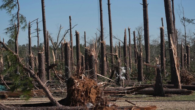 Deadly storms, tornadoes, and wildfires wreak havoc across US; All you ...
