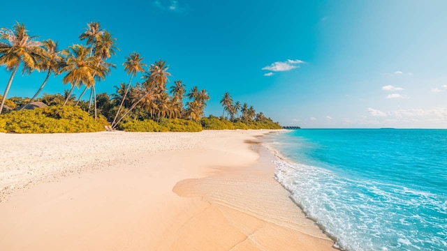 9. Eden Beach, Pondicherry | Eden Beach in Pondicherry is known for its calm, clear waters and scenic shoreline, making it a peaceful spot for beachgoers. The beach provides a tranquil retreat with well-maintained surroundings, ideal for relaxation and water activities. Its Blue Flag certification highlights its commitment to high environmental and cleanliness standards. (Image: Shutterstock)