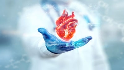 Cardiovascular benefits | Heart health imporves with lower blood pressure, improved cholesterol levels, and a reduced load on the heart all add up to longer-term health protection. (Image: Shutterstock)
