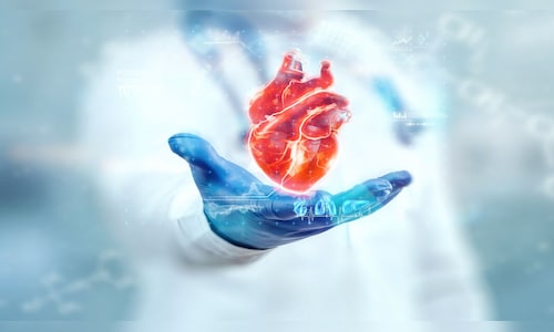 Protect Your Heart: Expert-Backed Tips for a Long and Healthy Life