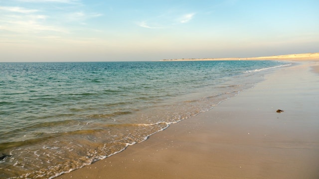 2. Shivrajpur Beach, Gujarat | Located in Dwarka, Gujarat, Shivrajpur Beach is a serene and less crowded beach that has gained popularity for its cleanliness and picturesque surroundings. The clear blue waters and vibrant marine life make it a perfect spot for swimming and water sports. Its Blue Flag certification reflects its commitment to sustainable tourism and environmental conservation. (Image: Shutterstock)