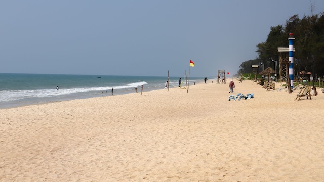 7. Padubidri Beach, Karnataka | Padubidri Beach in Karnataka is a quiet, pristine location that attracts tourists seeking solitude and natural beauty. Known for its clean environment and safe swimming conditions, it offers a perfect blend of relaxation and outdoor activities. The Blue Flag certification signifies its commitment to maintaining its eco-friendly status. (Image: Shutterstock)