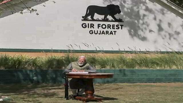 Modi goes on Gir safari, spotlights Asiatic lion revival, and renews ...