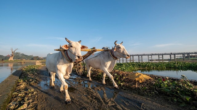 Tamil Nadu Budget 2025: Govt allocates ₹29,465 crore for the Rural Development and Panchayat Raj Department. (Source: Freepik) Tamil Nadu Budget 2025: Govt allocates ₹29,465 crore for the Rural Development and Panchayat Raj Department. (Source: Freepik)