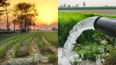 Infrastructure Excellence: Punjab and Haryana lead in infrastructure, particularly in areas like rail, irrigation, and power supply.