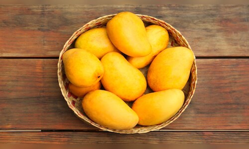 Ranchi Mango Festival Celebrates Tribal Growers, Organic Produce