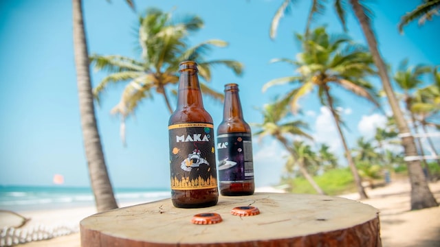 maka-di-2025-04-04e789bd533602a8a7e93098c844bcd7 National Beer Day 2025 is on April 7: 10 homegrown beer brands you should know about