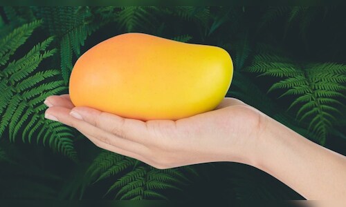 UAE Leads Top Importers of Indian Mangoes in FY24