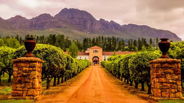 Stellenbosch, South Africa: It offers bold reds such as Pinotage and Cabernet Sauvignon, Stellenbosch is a prominent wine region in South Africa. In addition to enjoying wine amidst the stunning mountain views, you can also go horseback riding through vineyards. Stellenbosch, South Africa: It offers bold reds such as Pinotage and Cabernet Sauvignon, Stellenbosch is a prominent wine region in South Africa. In addition to enjoying wine amidst the stunning mountain views, you can also go horseback riding through vineyards.