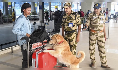 India-Pakistan Ceasefire Leads to Airspace and Airport Changes