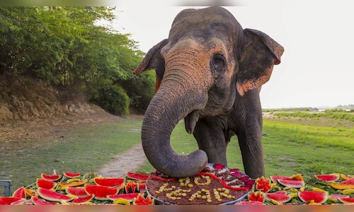 Debrigarh Wildlife Sanctuary Praised as Best Ecotourism in India