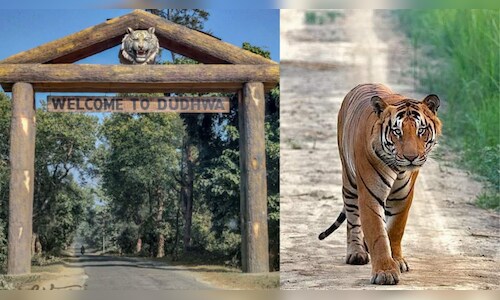 Uttar Pradesh Launches Vistadome Train Jungle Safari
