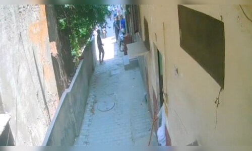 Elderly Woman in Moradabad Confronts Armed Men with Stick