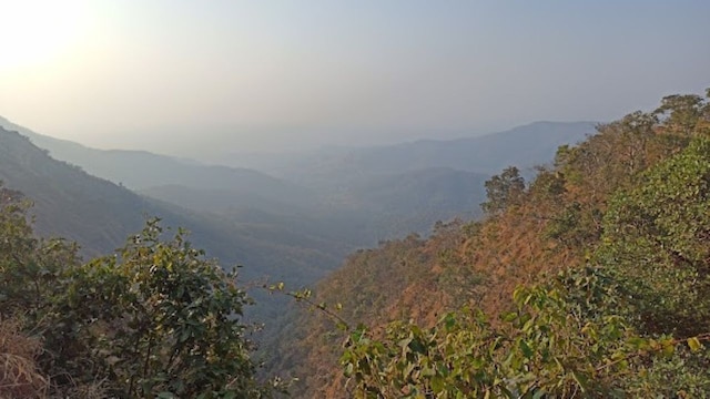 No 10. Chikhaldara | Though it's located quite far from Mumbai, the trip to Chikhaldara is worthwhile. About 700 km from the financial capital, it is an excellent destination for city dwellers looking to escape the daily grind. Featuring coffee plantations, lakes, unique wildlife, and stunning waterfalls, Chikhaldara will certainly impress. No 10. Chikhaldara | Though it's located quite far from Mumbai, the trip to Chikhaldara is worthwhile. About 700 km from the financial capital, it is an excellent destination for city dwellers looking to escape the daily grind. Featuring coffee plantations, lakes, unique wildlife, and stunning waterfalls, Chikhaldara will certainly impress.