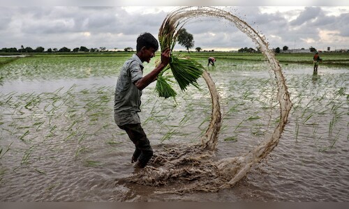 Philippines Explores Rice Imports, Trade Opportunities