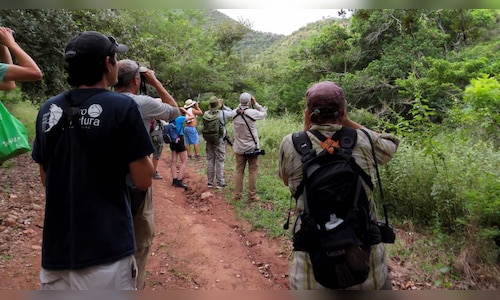 Andaman and Nicobar Islands Launch Birdwatching Tourism