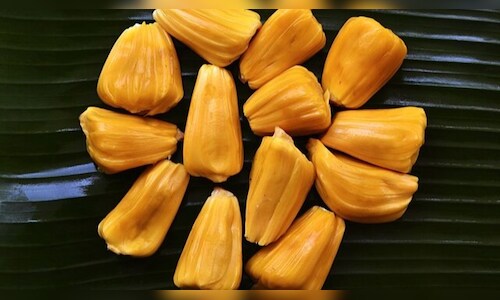 Jackfruit Causes Bus Driver to Fail Breathalyzer Test
