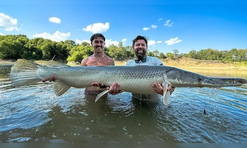 Wildlife Expert Names Top Countries for Spotting Animals