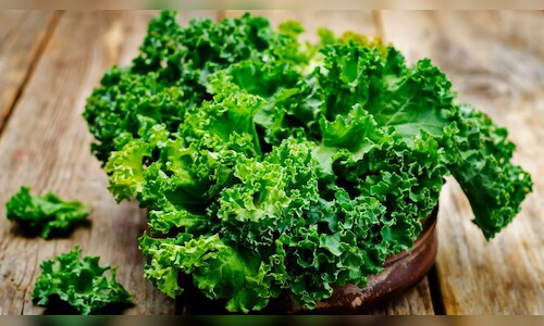Protein Intake: Understanding Potential Risks and Seeking Advice