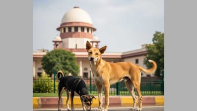 Delhi Teachers to Tackle Stray Dogs; Associations Protest Amid Exams