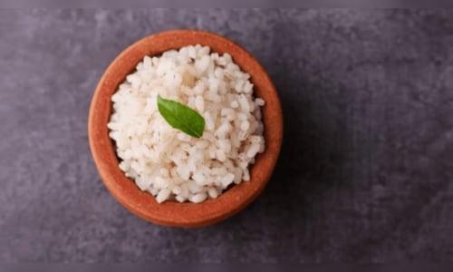 US tariff threat weighs on India's basmati rice exports to Iran, KRBL says exposure is lower now