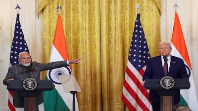 US Senators Push for Favorable Pulse Crop Provisions in India-US Trade Deal