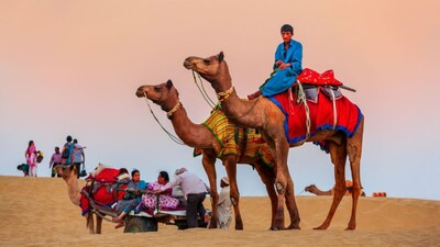 The Thar mixes culture and adventure in equal measure.
Known for camel safaris, dune camping, jeep rides, desert treks, folk nights, and fort explorations around Jaisalmer and beyond.
