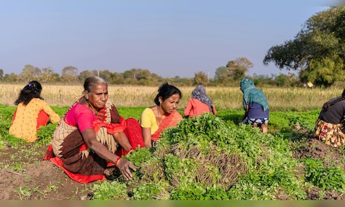 Centre to bring new seed, pesticide laws to protect farmers from substandard products: Chouhan