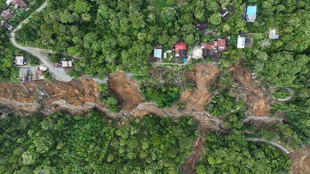 Assam: Over 87 acres of grazing land cleared in eviction drive - CNBC TV18